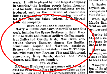 Brooklyn-Eagle-1890-Nov-16-Page-13